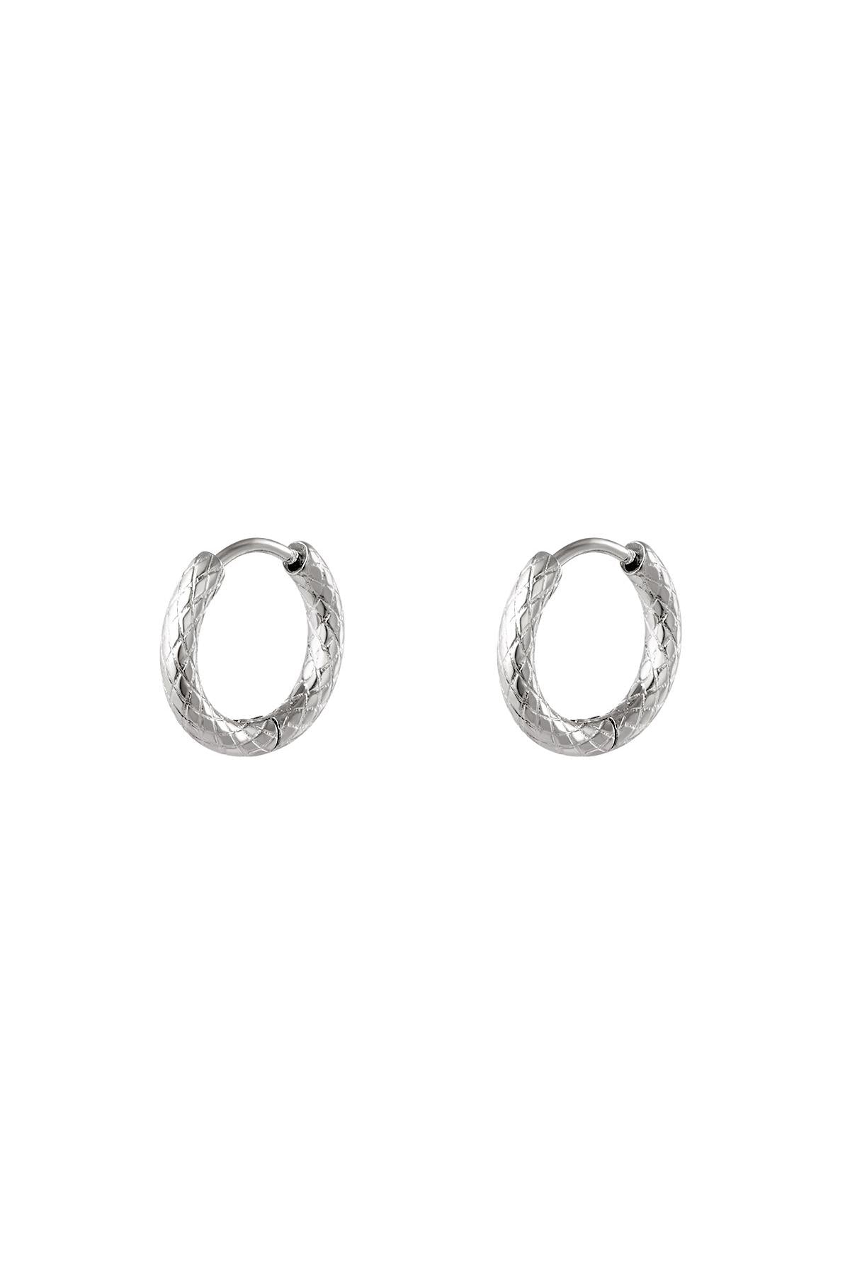 stainless steel hoop earrings