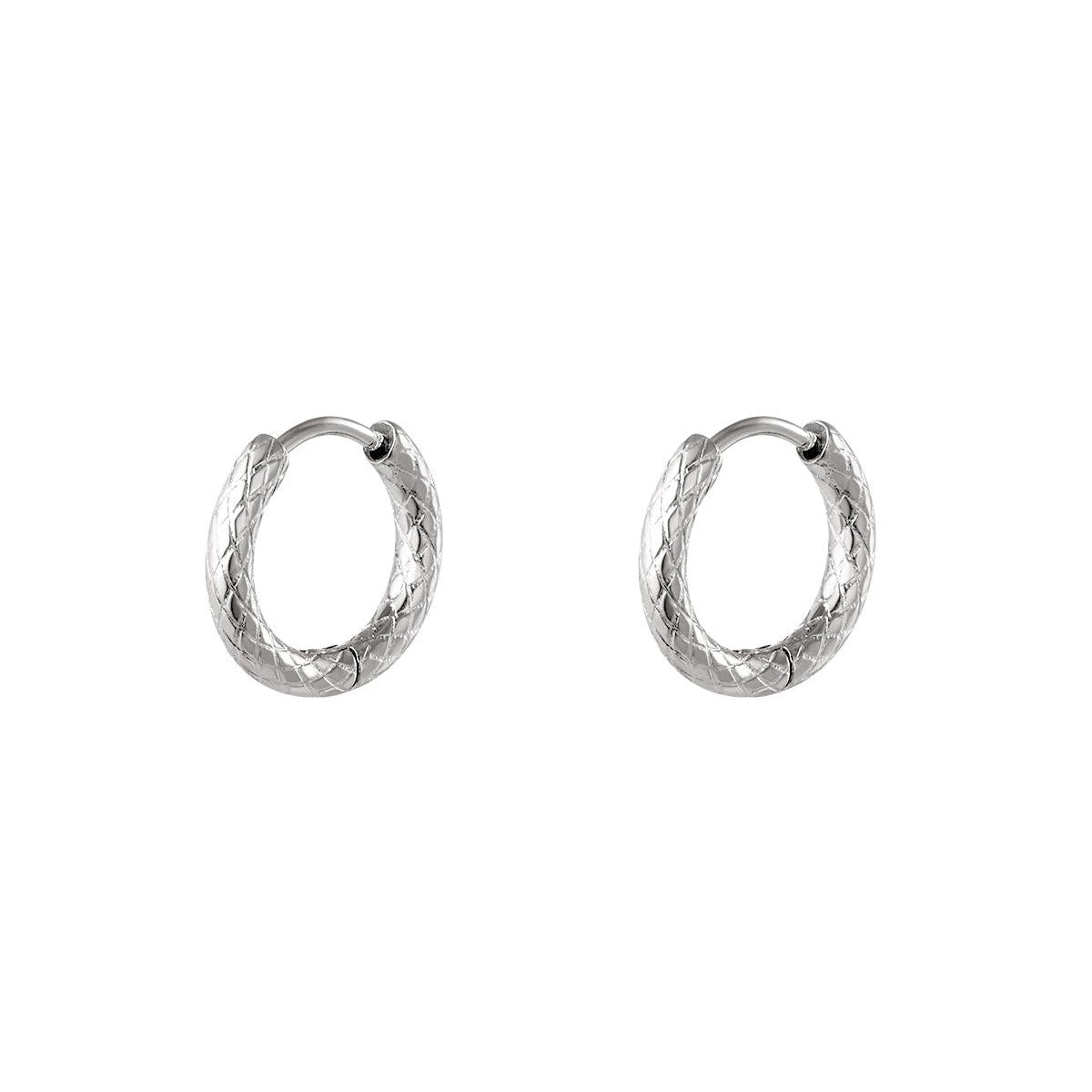 stainless steel hoop earrings