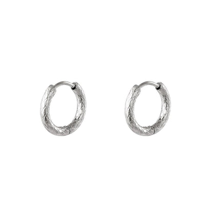 stainless steel hoop earrings