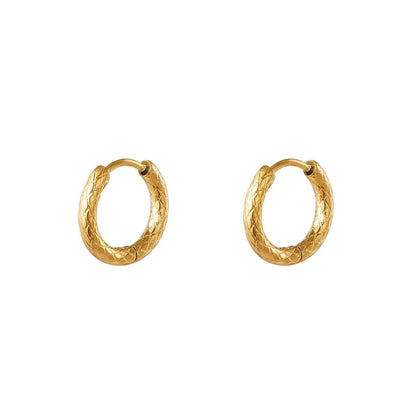 stainless steel hoop earrings