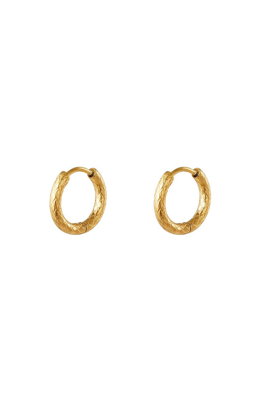 stainless steel hoop earrings