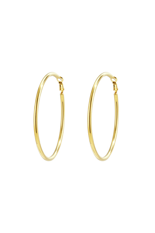 Stainless Steel Hoop Earrings Geometric Casual Daily Simple Series Women's jewelry